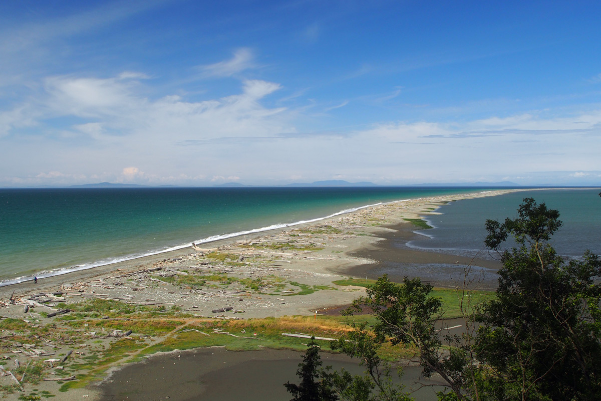 Overlooking Dungeness Spit